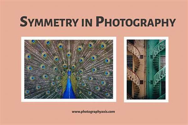 “achieving Symmetry In Flat Lays”