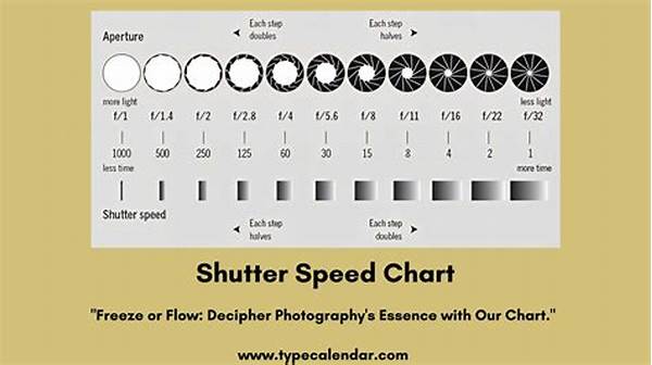 “basics Of Shutter Speed Adjustment”