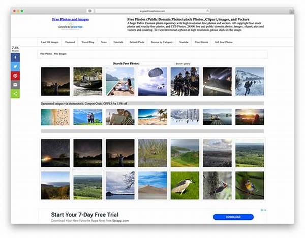 Free Stock Photo Websites High-res