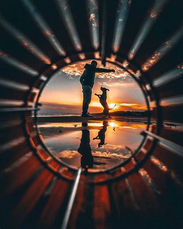 Importance Of Framing In Photography