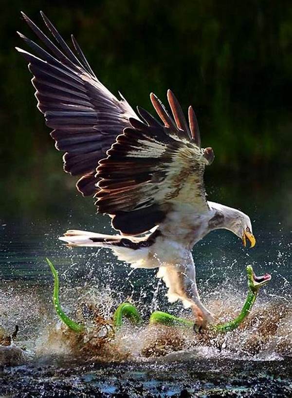 High-speed Photography For Animals