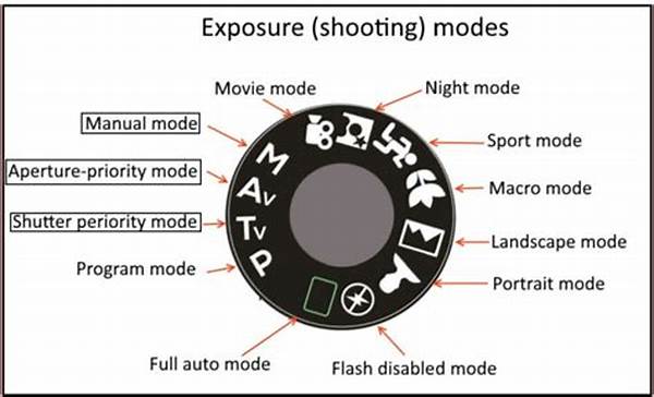 Fast-paced Photography Camera Adjustments