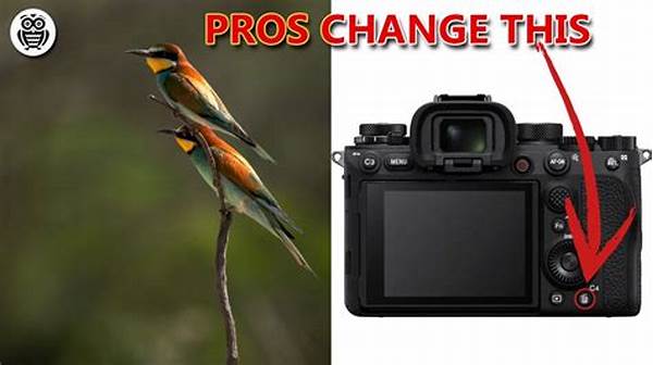 Optimal Settings For Fast Wildlife Captures