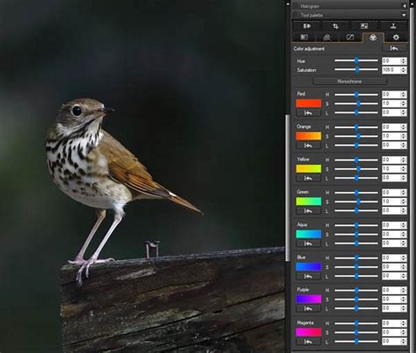 “photo Editing Software Recommendations”