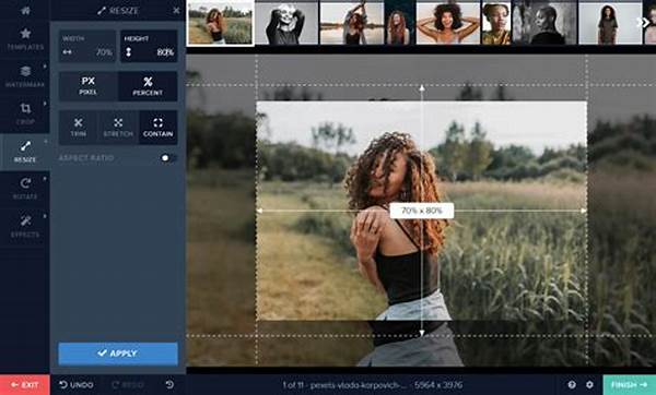 Free Watermark Editing Services Online