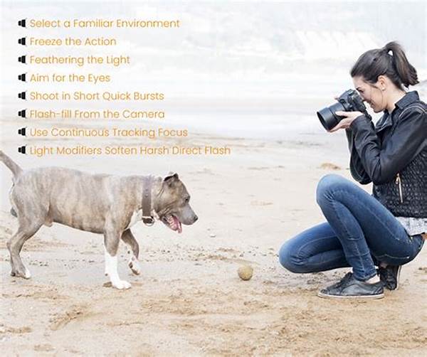 Flash Photography Tips For Animals