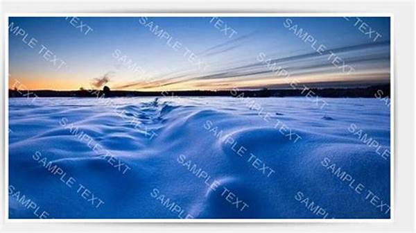 Free Digital Watermark Software 2023