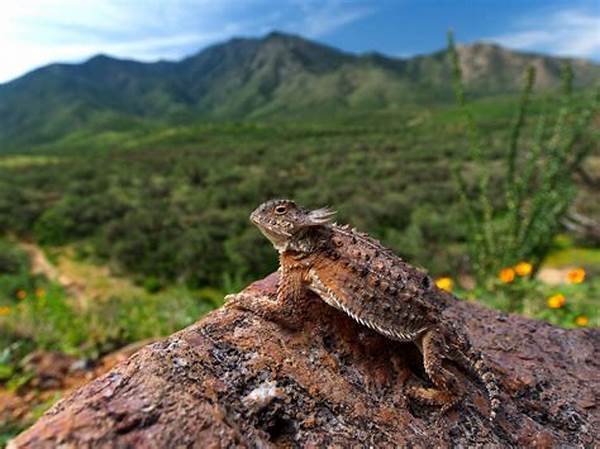 High-speed Flash Wildlife Photography