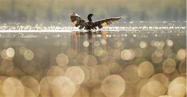 Superior Bokeh With Prime Lenses