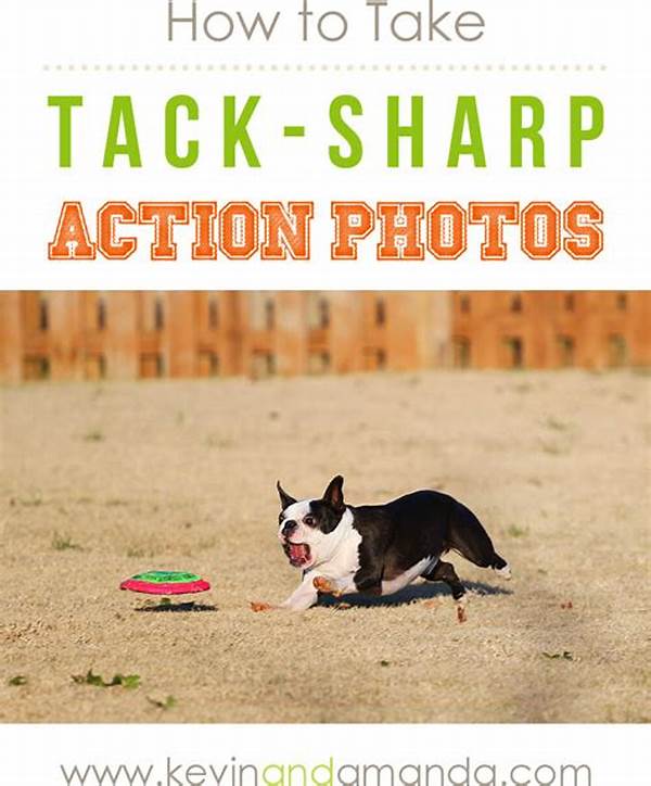 Sharp Action Shots For Pets