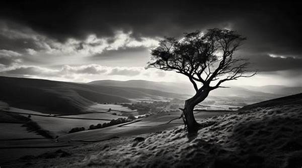 Black And White Photography Artistry Techniques