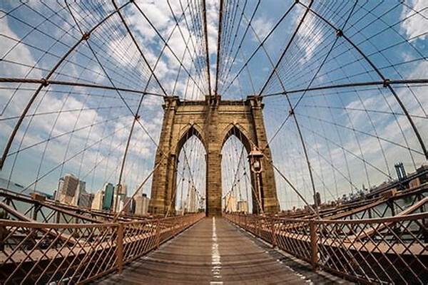 Creative Angles For Cat Portraits