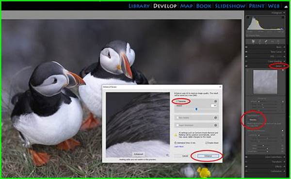Post-processing Tips For Animal Photos