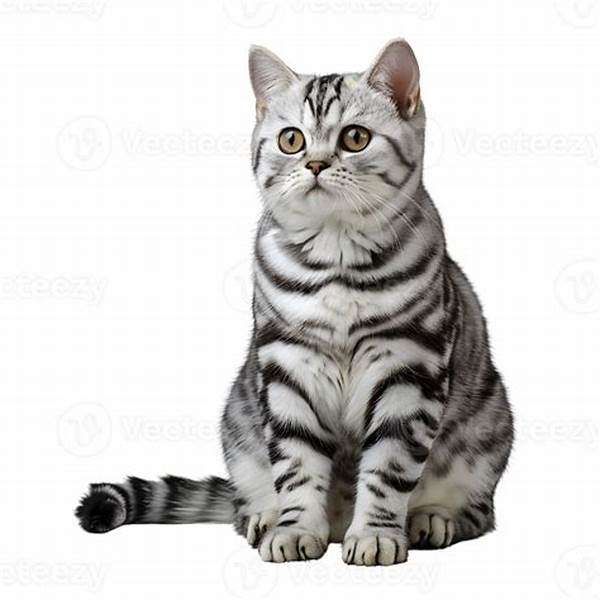 “stylish Backgrounds For Cat Portraits”