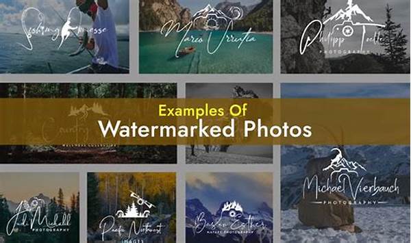 Best Watermark Programs For Photographers