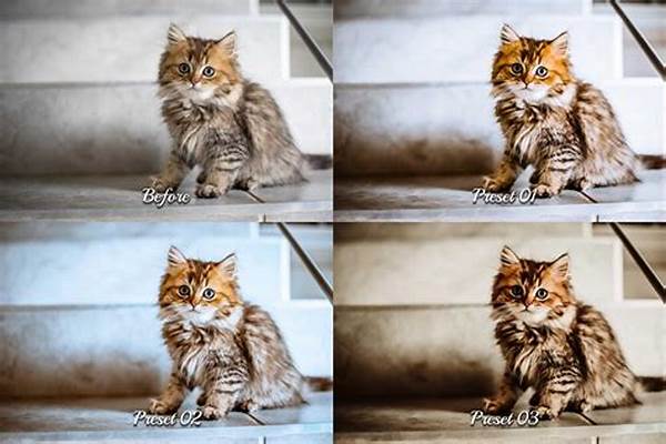 Captivating Pet Picture Enhancements