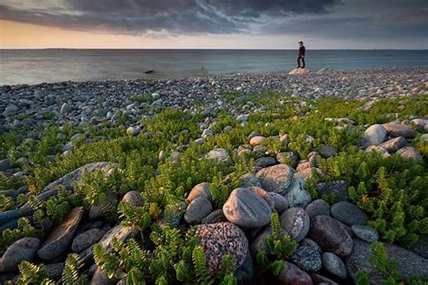 Capturing Wildlife In Perfect Light