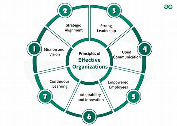 Effective Content Organization Techniques