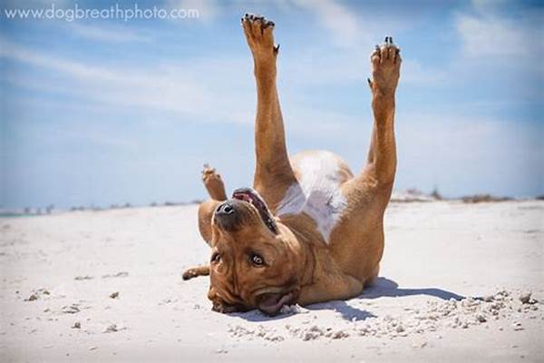 Playful Dog Photography Techniques