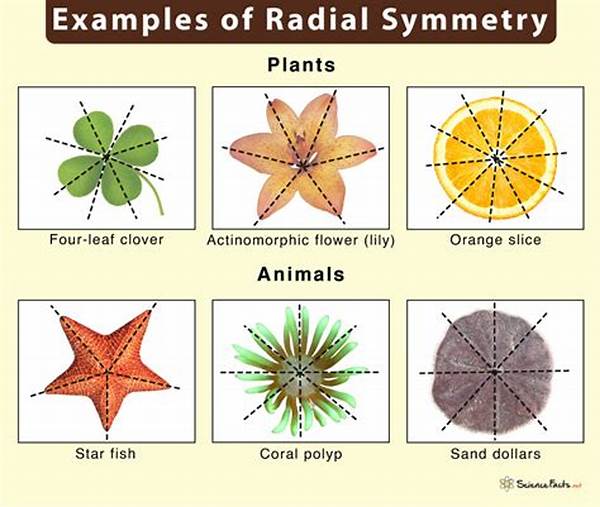 Radial Symmetry In Images