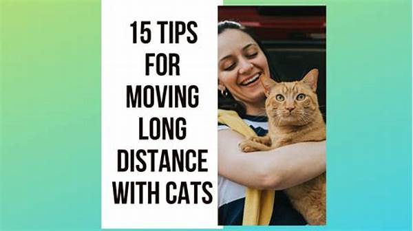 Tips For Shooting Moving Cats