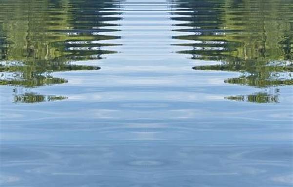 Using Reflection For Symmetrical Photos