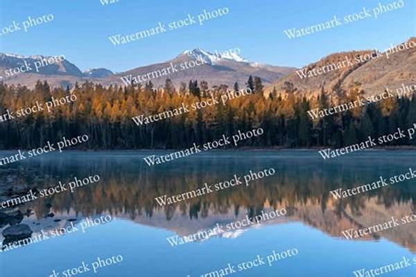 Watermark Photographs Online Free