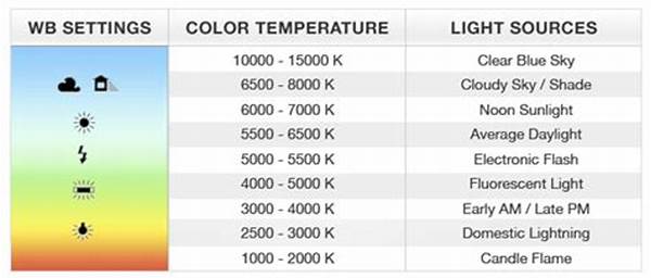 White Balance Settings For Kitten Pictures