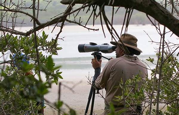 Wildlife Observation Safety Guidelines