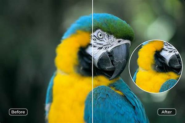 Enhancing Clarity In Macro Images
