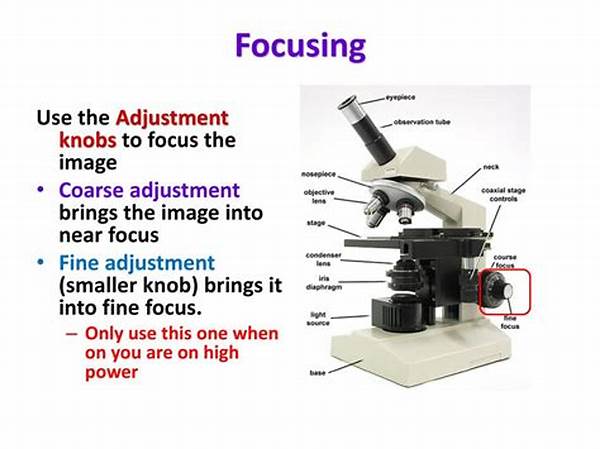 Fine Focus Settings In Ultrasonics