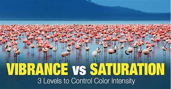 Saturation And Vibrance Control