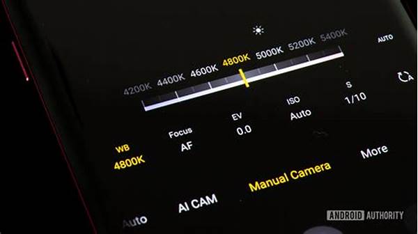 Smartphone Manual Photo Adjustments