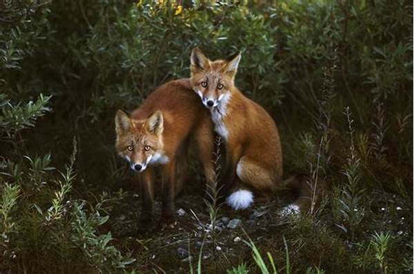 Wildlife Photo Light Techniques